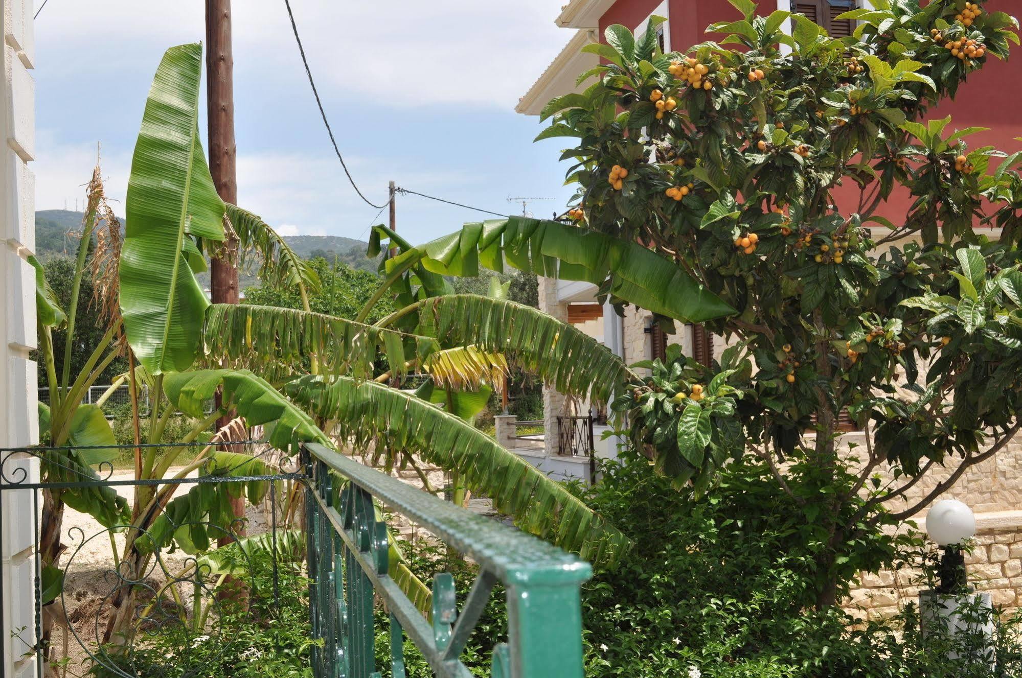 Chrisanthi Apartments Syvota Exterior photo